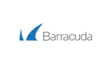 barracuda